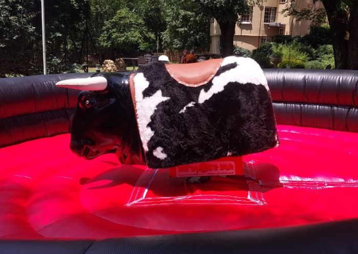 Mechanical Bull Hire