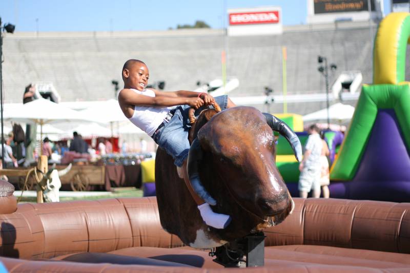 mechanical_bull.jpg